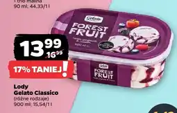 Netto Lody Forest Fruit Gelato Classico różne rodzaje oferta
