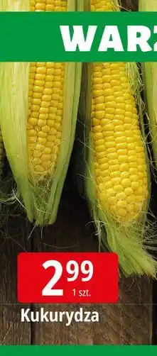 E.Leclerc Kukurydza oferta