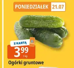 E.Leclerc Ogórek gruntowy oferta