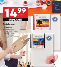 Biedronka Podobrazia 30 x 20 cm Loozz Art oferta