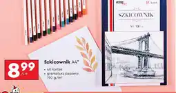 Biedronka Szkicownik Loozz oferta