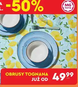 Biedronka Obrus Tognana oferta
