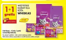 Biedronka Karma dla kota drobiowa Whiskas oferta