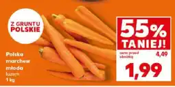 Kaufland Marchew młoda luzem Kaufland oferta