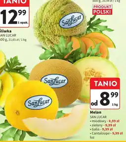 Intermarche Melon San Lucar oferta