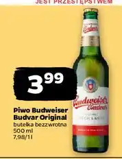 Netto Piwo Budweiser Budvar oferta