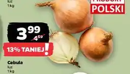 Netto Cebula żółta polska oferta