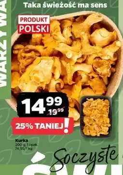 Netto Kurki polska oferta
