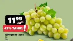 Netto Winogrona białe oferta