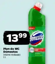 Netto Płyn do wc pine Domestos oferta