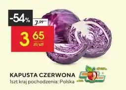 Społem Kapusta czerwona oferta