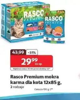 Kakadu Mokra karma dla kota Rasco oferta