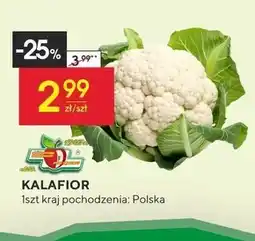 Społem Kalafior oferta