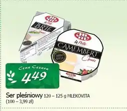 Cezar Delikatesy Ser pleśniowy Mlekovita oferta