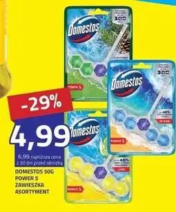 Hildebrandt Zawieszka do wc Domestos oferta