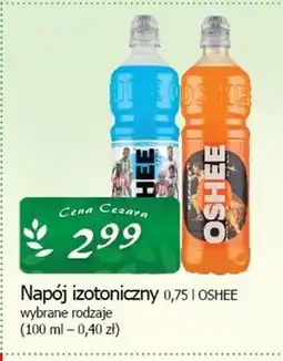 Cezar Delikatesy Napój izotoniczny Oshee oferta