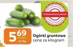 Społem Ogórki E oferta