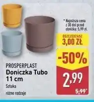 ALDI Doniczka naturo dna 12 cm Prosperplast oferta