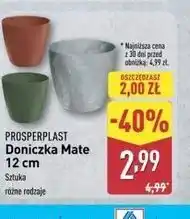 ALDI Doniczka plastikowa 12 cm Prosperplast oferta