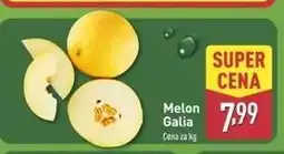 ALDI Melon galia oferta