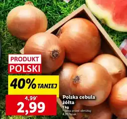 Lidl Cebula żółta polska Lidl oferta