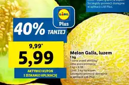 Lidl Melon Galia Lidl oferta