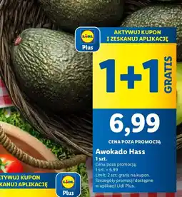 Lidl Awokado Hass Lidl oferta