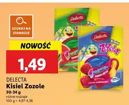 Lidl Kisiel Zozole różne rodzaje Delecta oferta