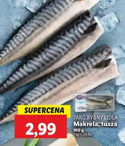 Lidl Ryba makrela tusza Targ Rybny Lidla oferta
