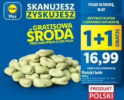 Lidl Bób Polski Lidl oferta