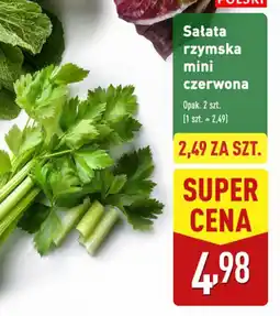 ALDI Sałata rzymska mini czerwona Aldi oferta