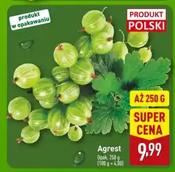 ALDI Agrest Aldi oferta