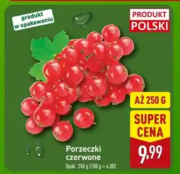 ALDI Porzeczki czerwone Aldi oferta