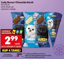 Delikatesy Centrum Lody Burza i Chmurka Koral oferta