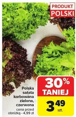 Carrefour Sałata karbowana zielona, czerwona Carrefour oferta