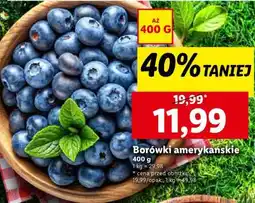 Lidl Borówki amerykańskie oferta