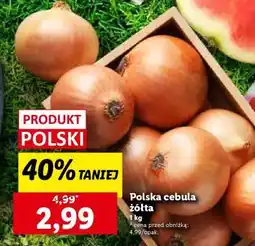 Lidl Polska cebula żółta oferta