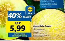 Lidl Melon Galia, luzem oferta