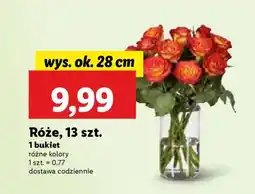 Lidl Róże, 13 szt oferta