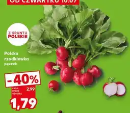 Kaufland Polska rzodkiewka pęczek oferta