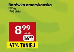 Delikatesy Centrum Borówka amerykańska oferta