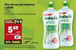 Delikatesy Centrum Płyn do naczyń miętowy Ludwik oferta