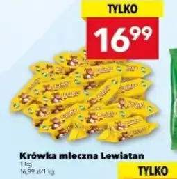 Lewiatan Krówka mleczna Lewiatan oferta
