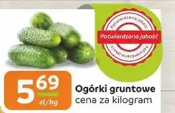 Społem Ogórki gruntowe oferta