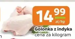 Społem Golonka z indyka oferta