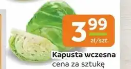 Społem Kapusta wczesna oferta