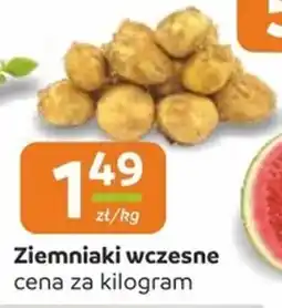 Społem Ziemniaki wczesne oferta