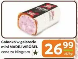 Społem Golonko w galarecie mini madej wróbel oferta