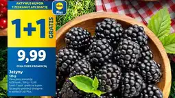 Lidl Jeżyny oferta