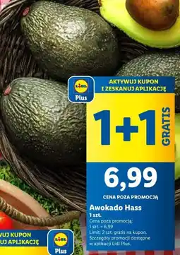 Lidl Awokado Hass oferta